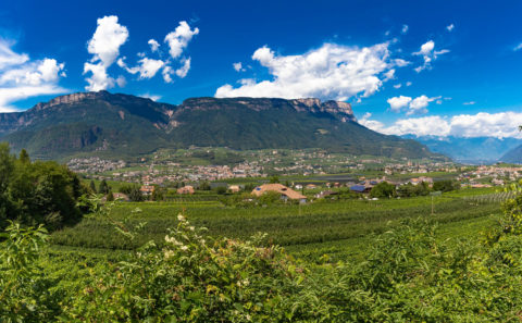 Rungghof / Eppan an der Weihnstaße / Südtirol / Hochzeitsfotograf / Fotostyle Schindler / Straubing www.fotostyle-schindler.de