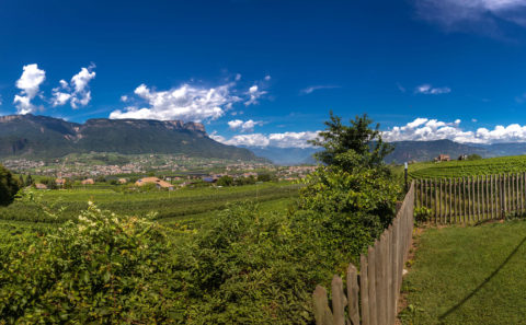 Rungghof / Eppan an der Weihnstaße / Südtirol / Hochzeitsfotograf / Fotostyle Schindler / Straubing www.fotostyle-schindler.de