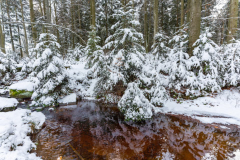 Landschaftsfotos | Bayerischer Wald am Schopf und Grandsberg | Fotostyle Schindler