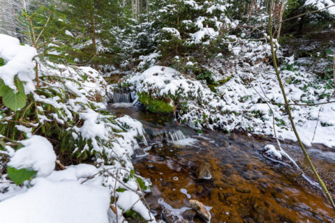 Landschaftsfotos | Bayerischer Wald am Schopf und Grandsberg | Fotostyle Schindler