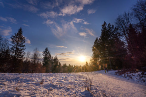 Landschaftsfotos | Bayerischer Wald am Schopf und Grandsberg | Fotostyle Schindler