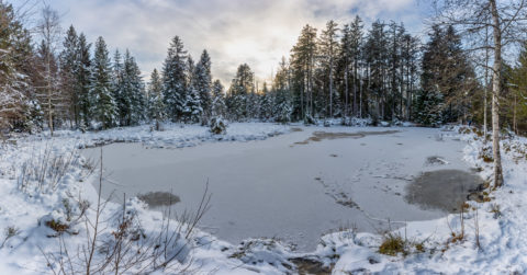 Landschaftsfotos | Bayerischer Wald am Schopf und Grandsberg | Fotostyle Schindler