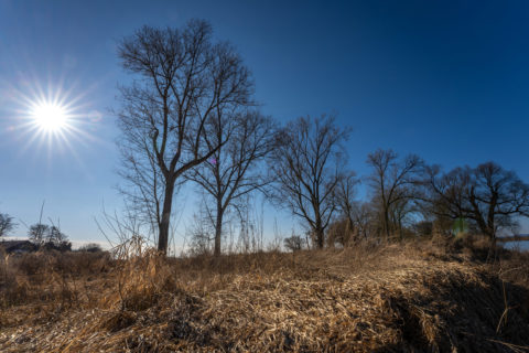 Fotograf Straubing Schindler Donau Landschaftsfotografie