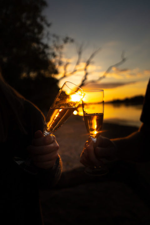 Business-Shooting | Picknick an der schönen Donau | Fotostyle Schindler